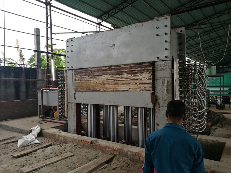 Plywood factory established in Bangladesh